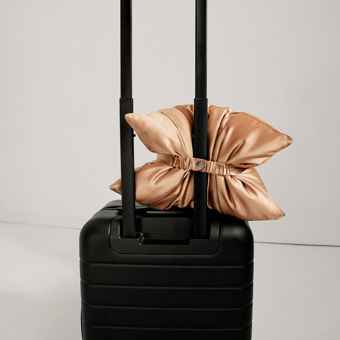 Lunya Washable Silk Travel Pillow- #Hidden Nest
