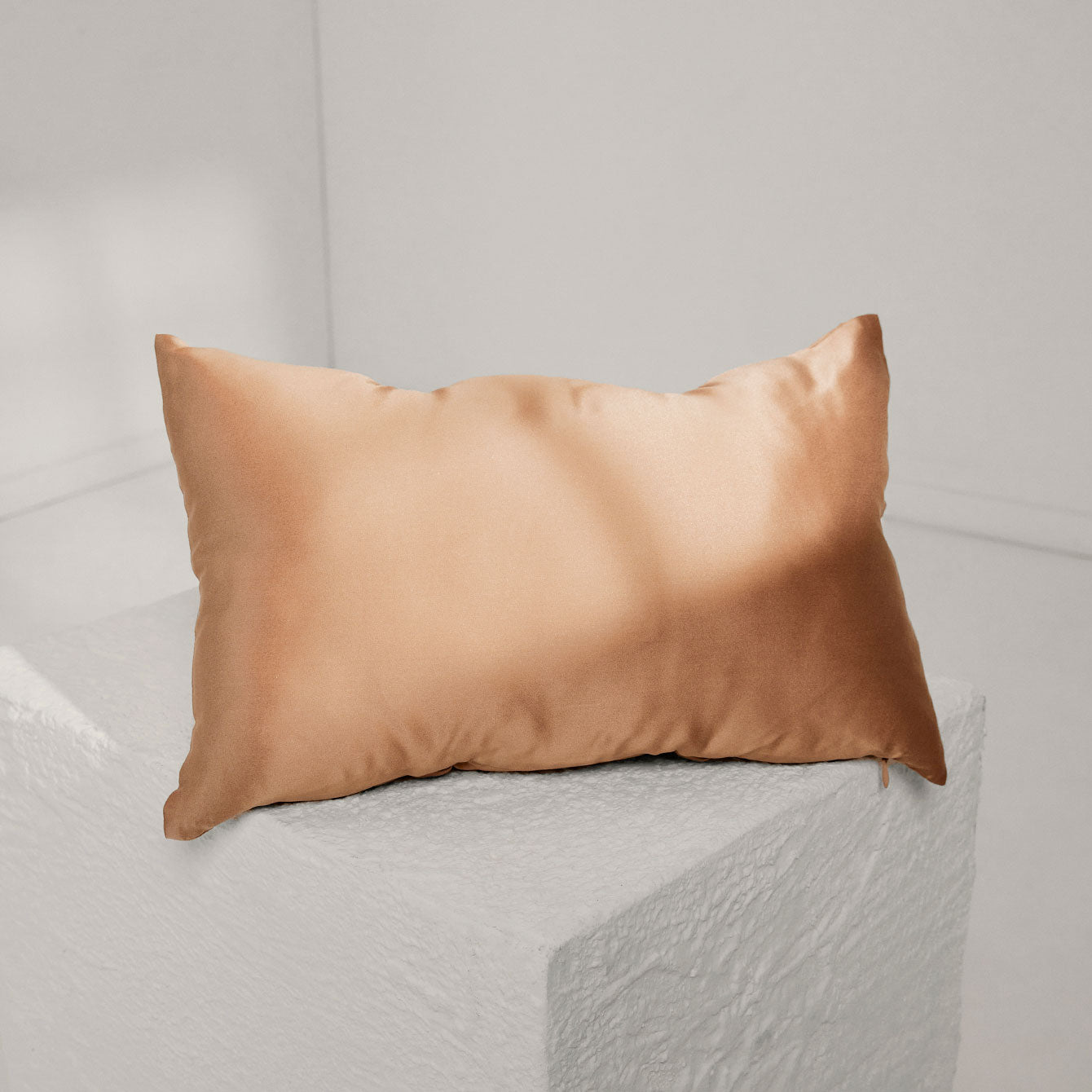 Lunya Washable Silk Travel Pillow- #Hidden Nest