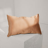 Lunya Washable Silk Travel Pillow- #Hidden Nest